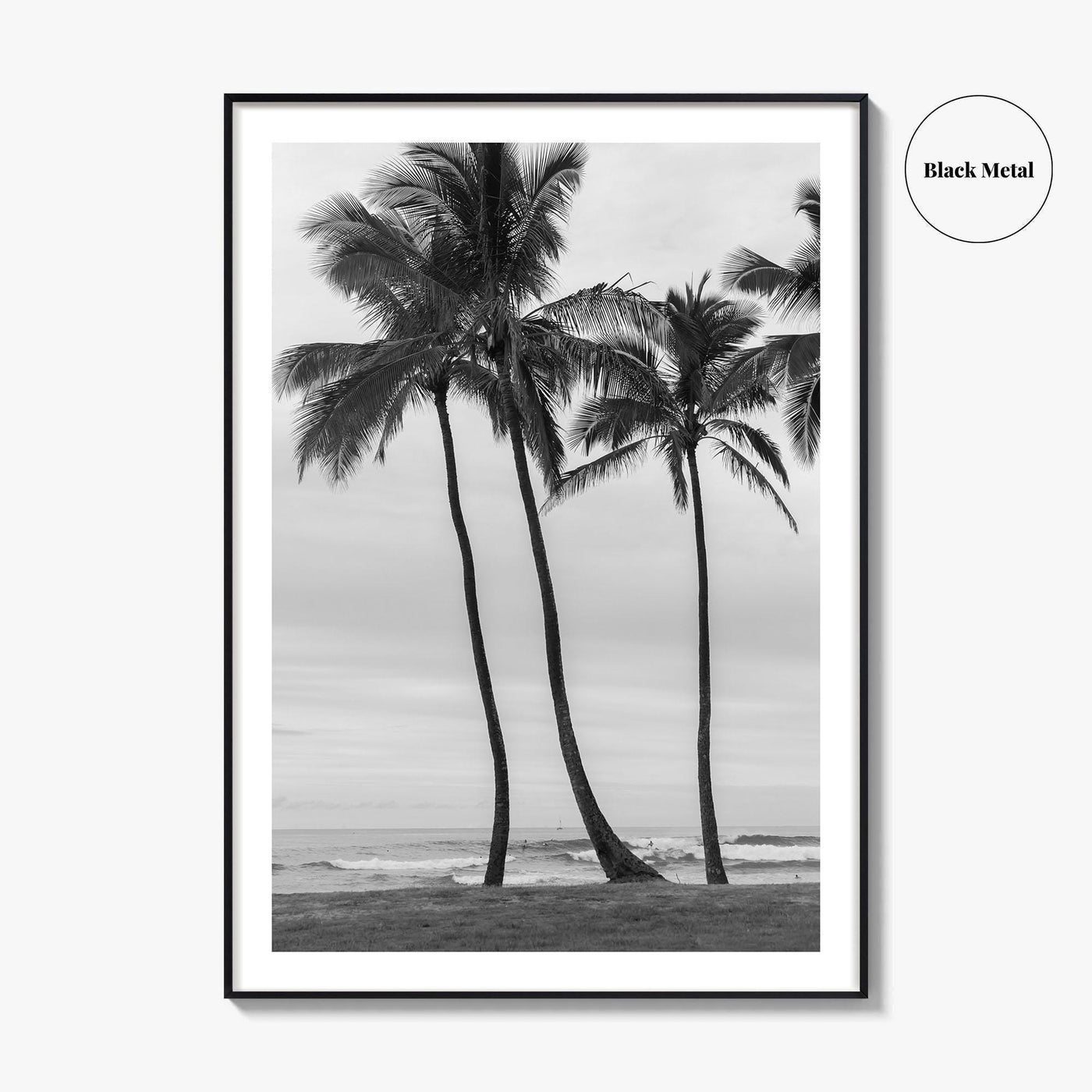 Haleiwa Black and White Fine Art Photo Print, Oahu Palm Trees, Hawaii Poster