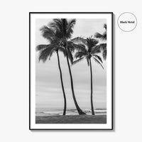 Haleiwa Black and White Fine Art Photo Print, Oahu Palm Trees, Hawaii Poster