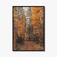 Arrowhead Provincial Park Fine Art Photo Print, Huntsville Ontario Canada, Algonquin Highlands, Wall Poster