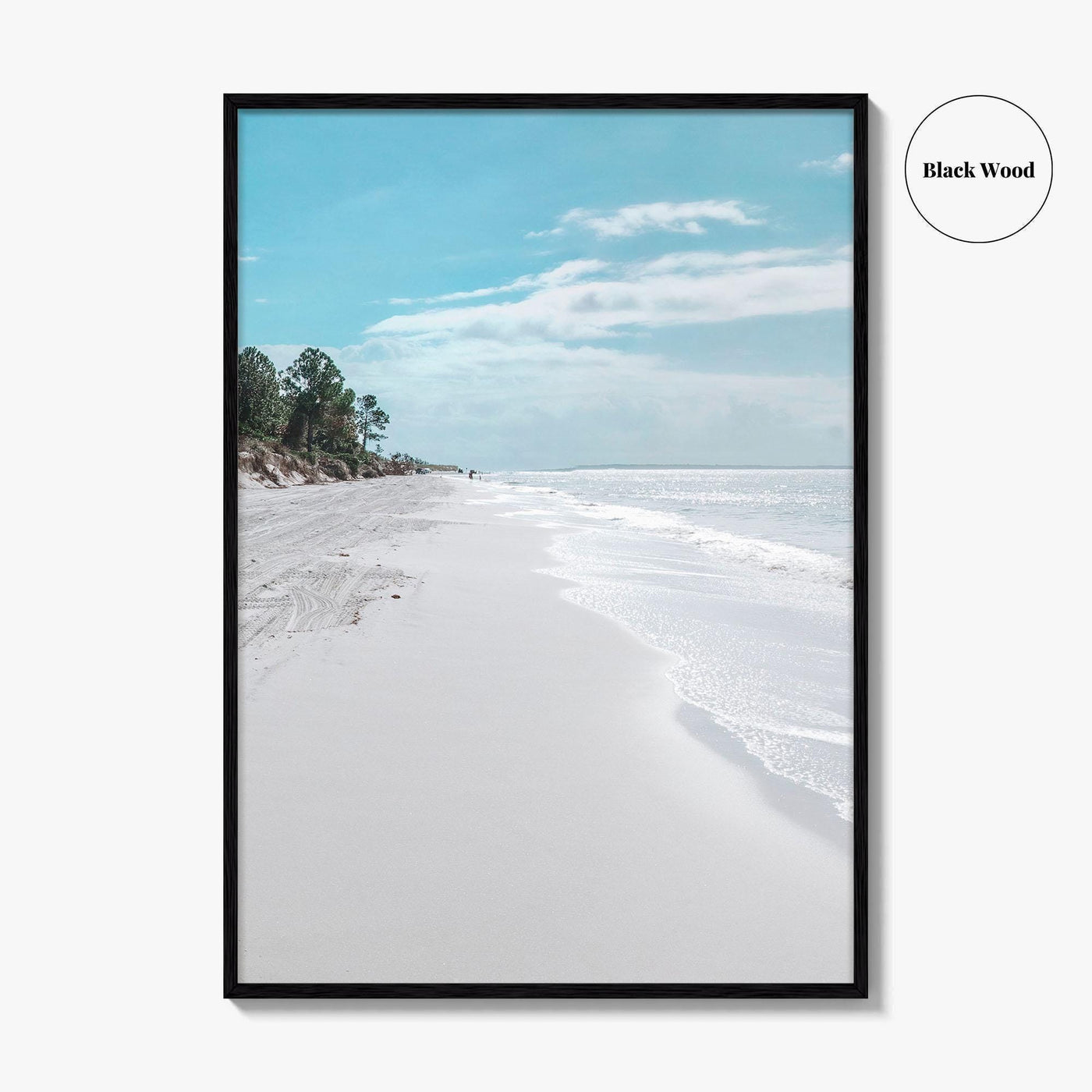Fernandina Beach Fine Art Photo Print, Amelia Island, Florida, USA, Wall Poster, Coastal Birds
