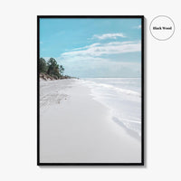 Fernandina Beach Fine Art Photo Print, Amelia Island, Florida, USA, Wall Poster, Coastal Birds