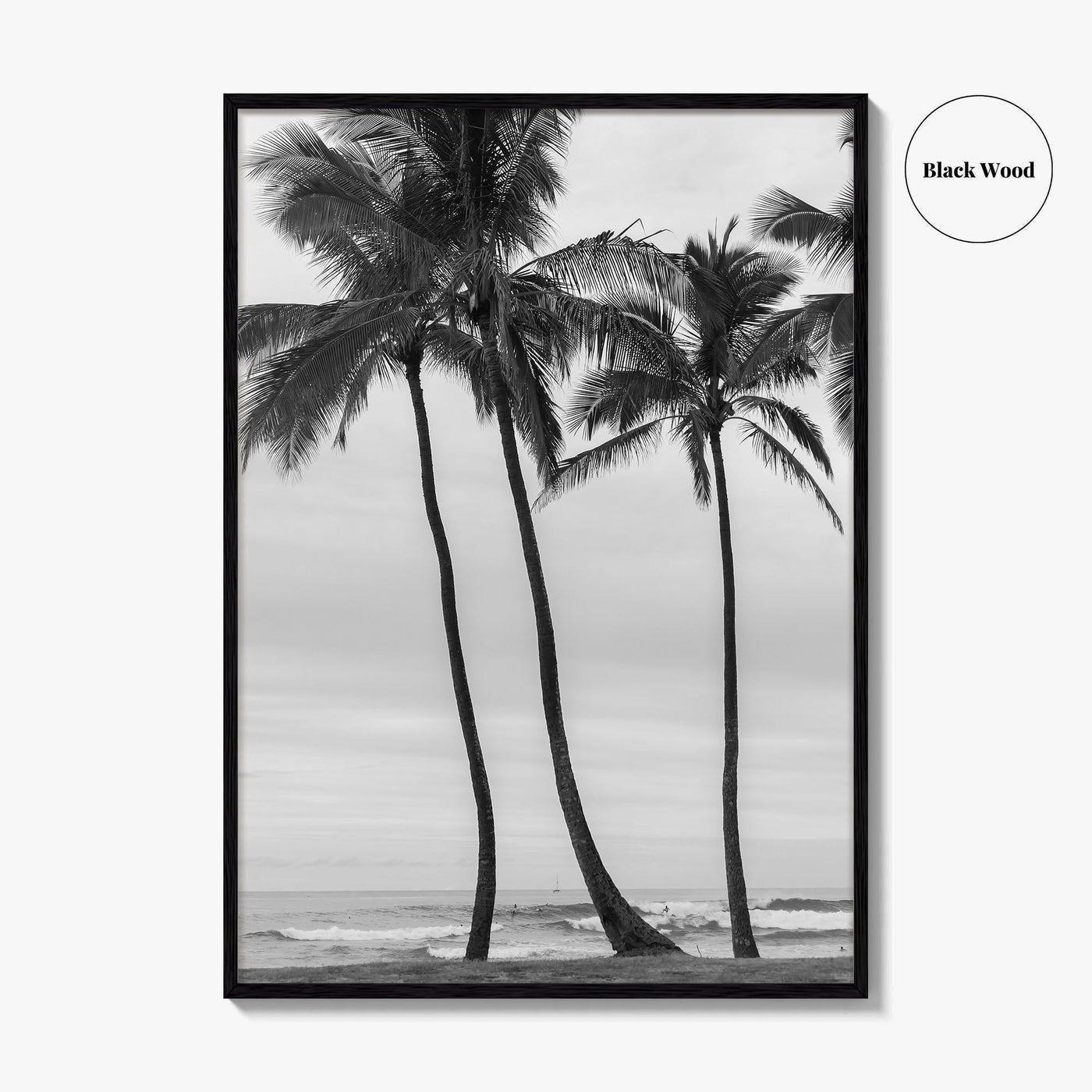 Haleiwa Black and White Fine Art Photo Print, Oahu Palm Trees, Hawaii Poster