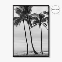 Haleiwa Black and White Fine Art Photo Print, Oahu Palm Trees, Hawaii Poster