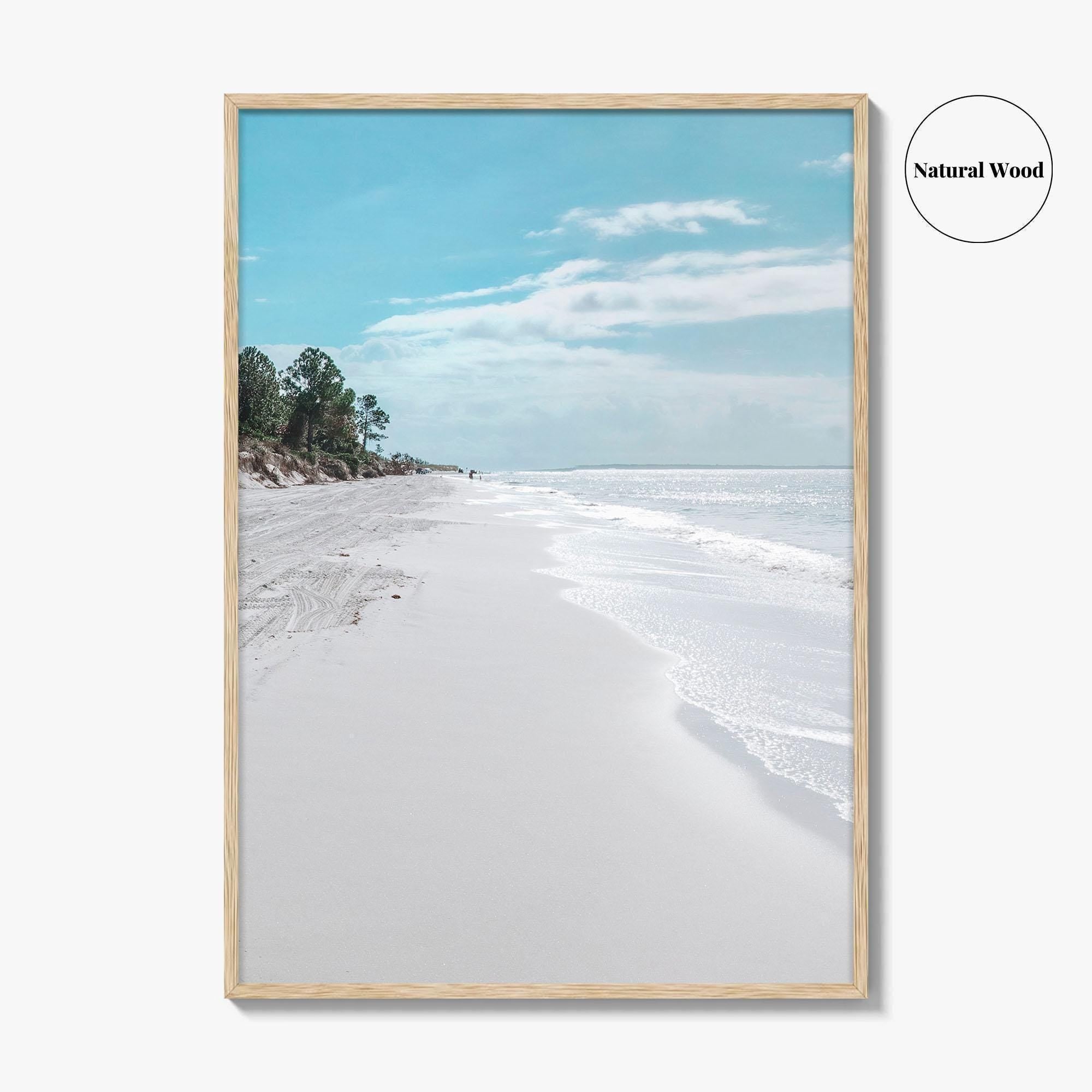 Fernandina Beach Fine Art Photo Print, Amelia Island, Florida, USA, Wall Poster, Coastal Birds