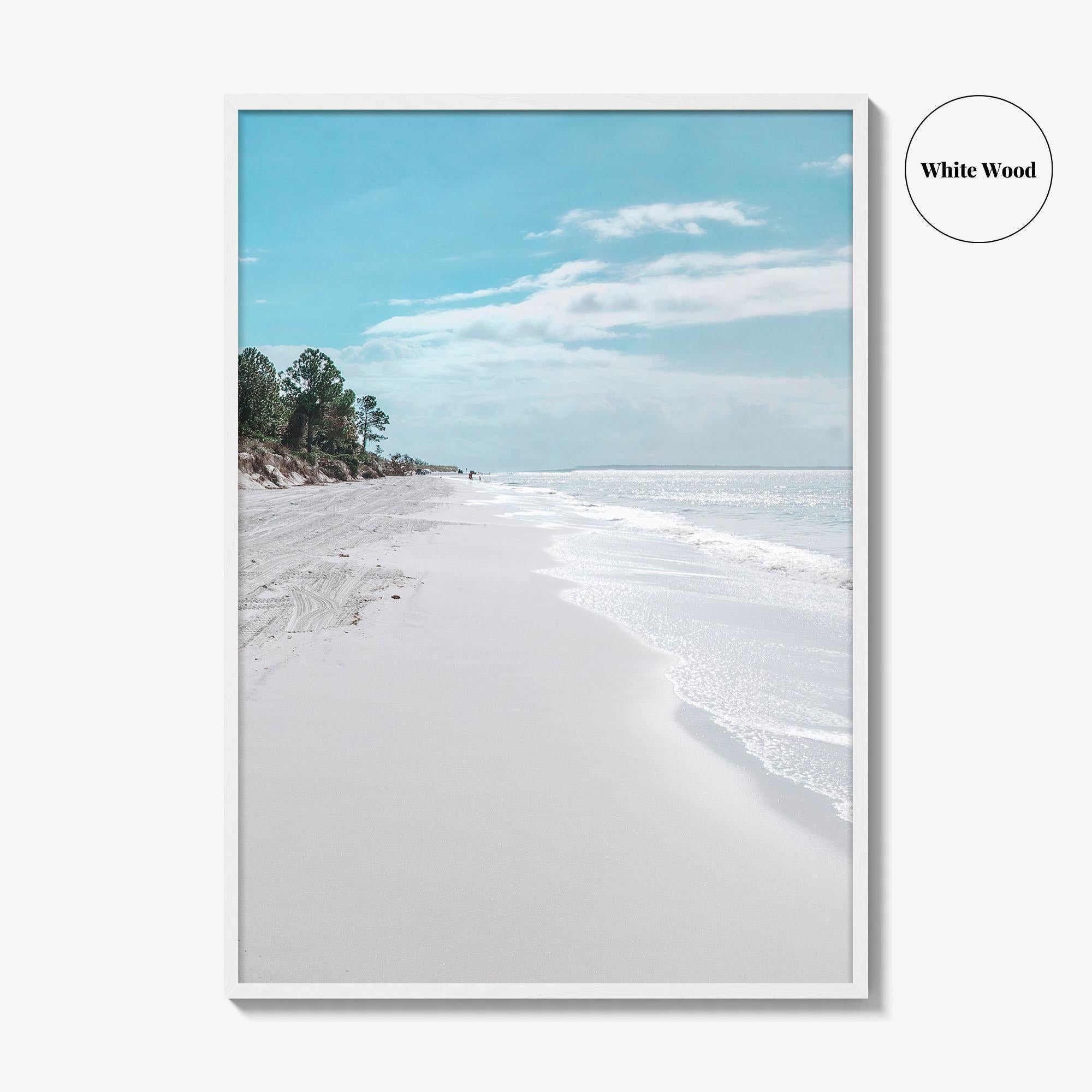 Fernandina Beach Fine Art Photo Print, Amelia Island, Florida, USA, Wall Poster, Coastal Birds