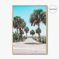 Hilton Head Island Fine Art Photo Print, Coligny Beach Park, SC, Boardwalk Wall Decor