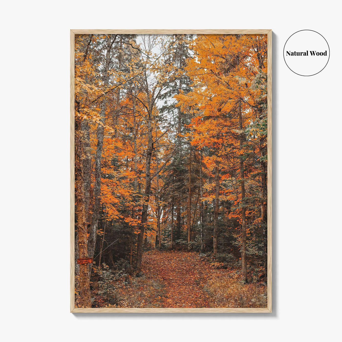 Arrowhead Provincial Park Fine Art Photo Print, Huntsville Ontario Canada, Algonquin Highlands, Wall Poster