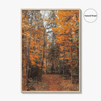 Arrowhead Provincial Park Fine Art Photo Print, Huntsville Ontario Canada, Algonquin Highlands, Wall Poster