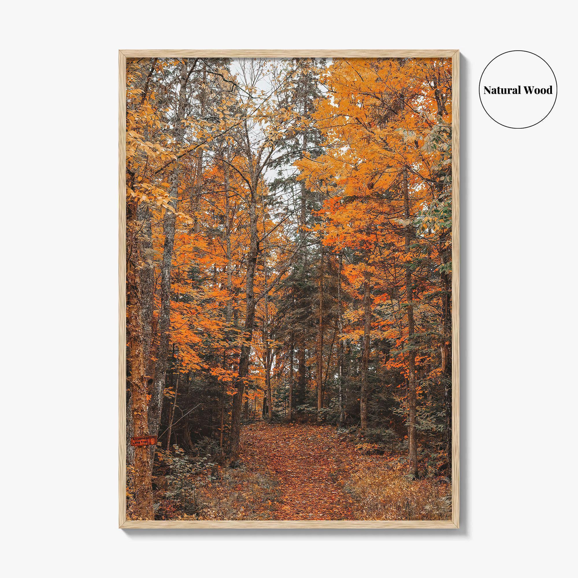 Arrowhead Provincial Park Fine Art Photo Print, Huntsville Ontario Canada, Algonquin Highlands, Wall Poster