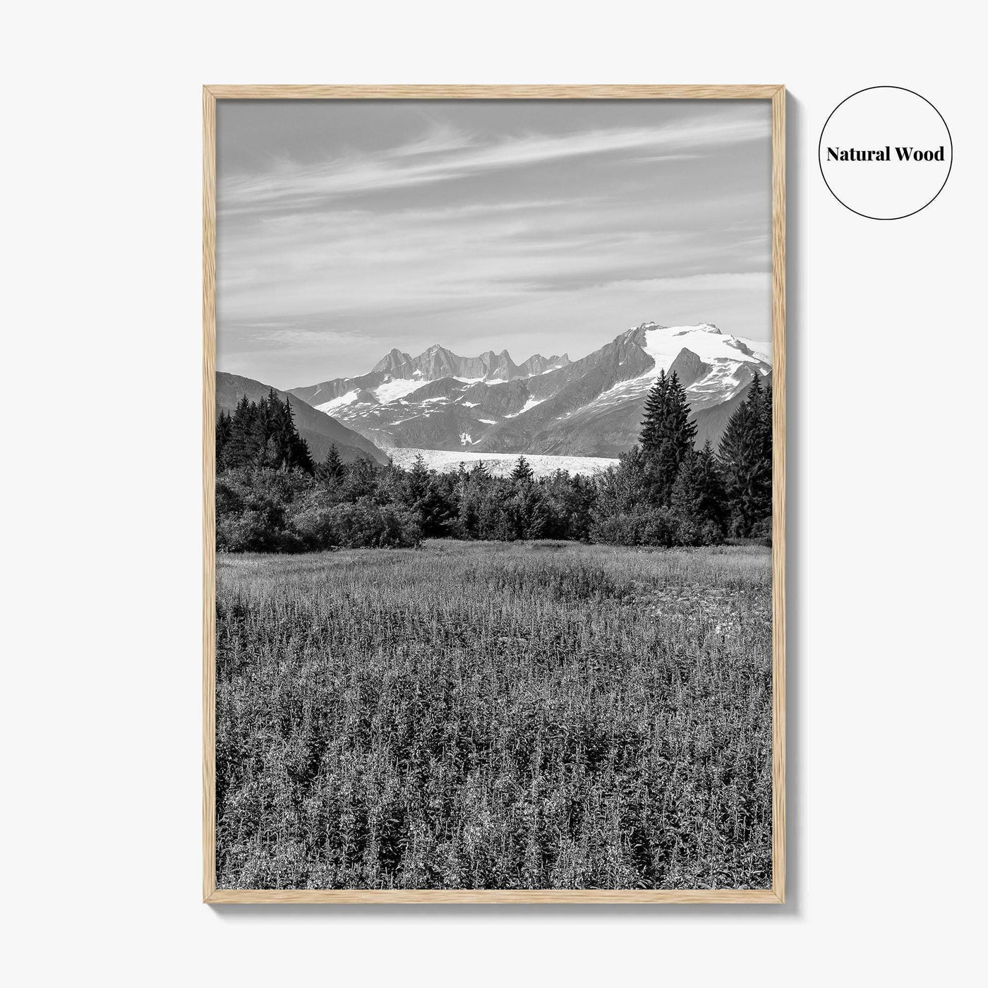 Juneau Black and White Fine Art Photo Print, Mendenhall Glacier Alaska Poster
