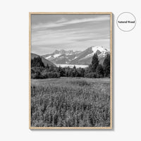 Juneau Black and White Fine Art Photo Print, Mendenhall Glacier Alaska Poster