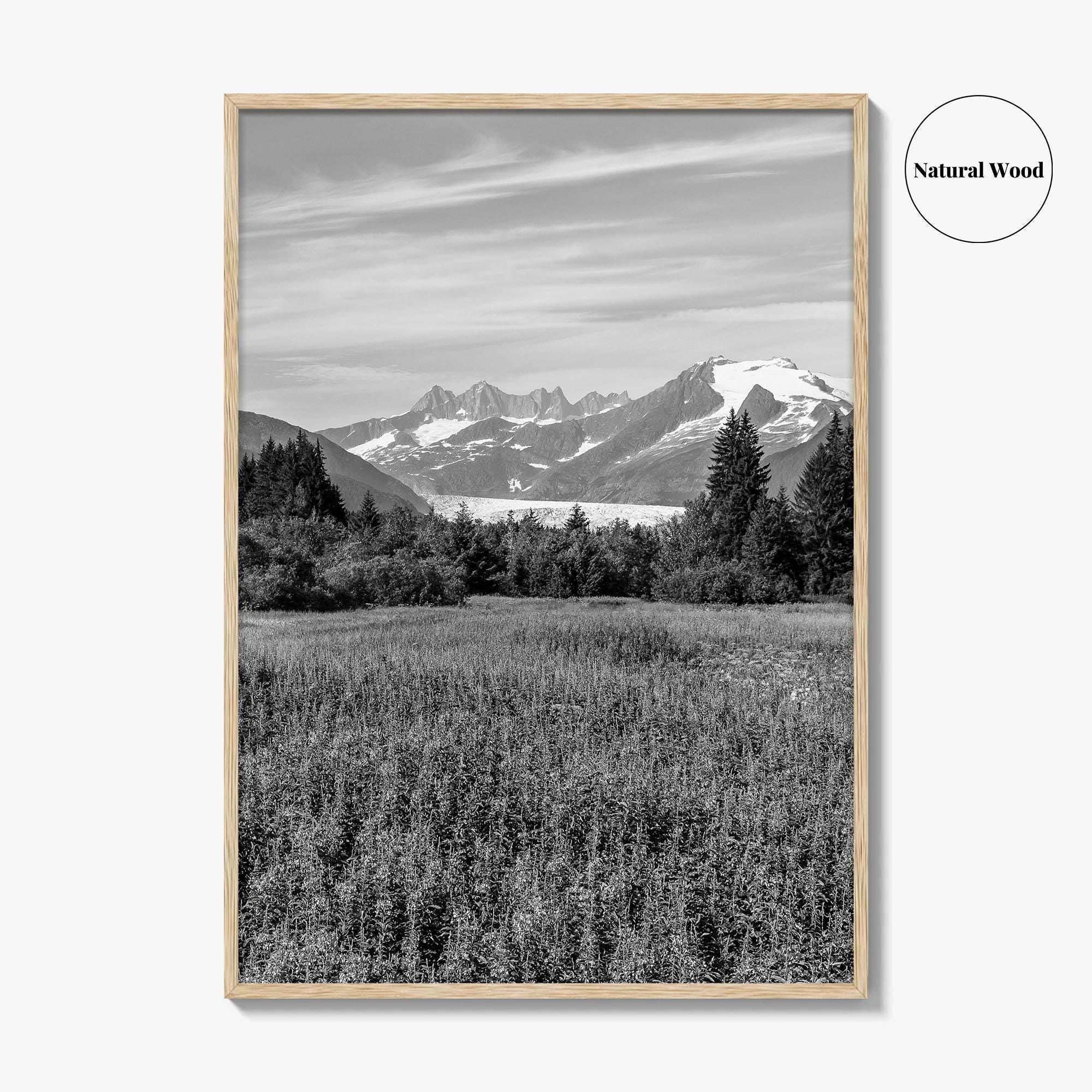 Juneau Black and White Fine Art Photo Print, Mendenhall Glacier Alaska Poster