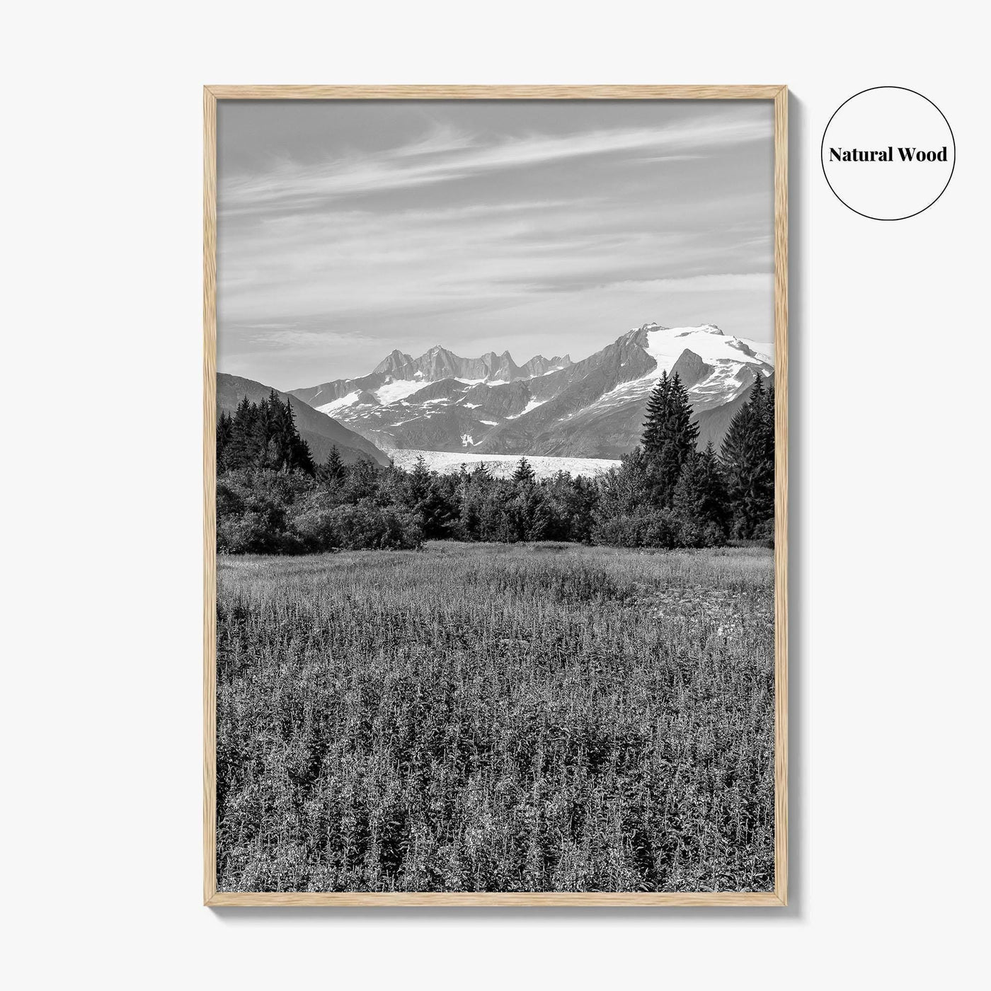Juneau Black and White Fine Art Photo Print, Mendenhall Glacier Alaska Poster