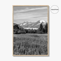 Juneau Black and White Fine Art Photo Print, Mendenhall Glacier Alaska Poster