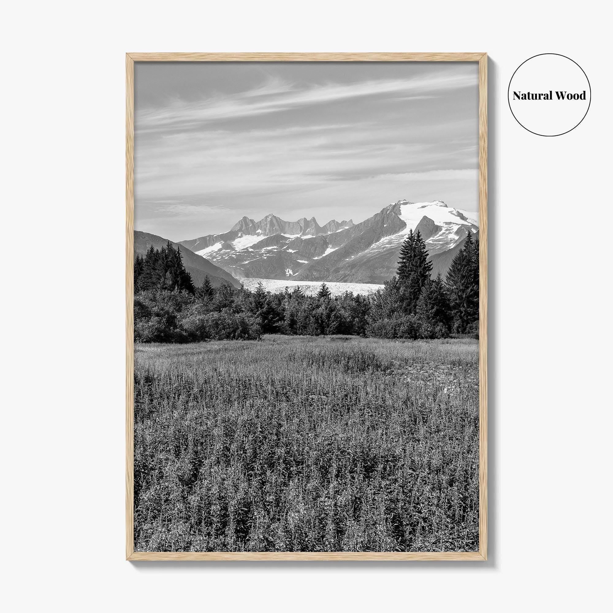Juneau Black and White Fine Art Photo Print, Mendenhall Glacier Alaska Poster