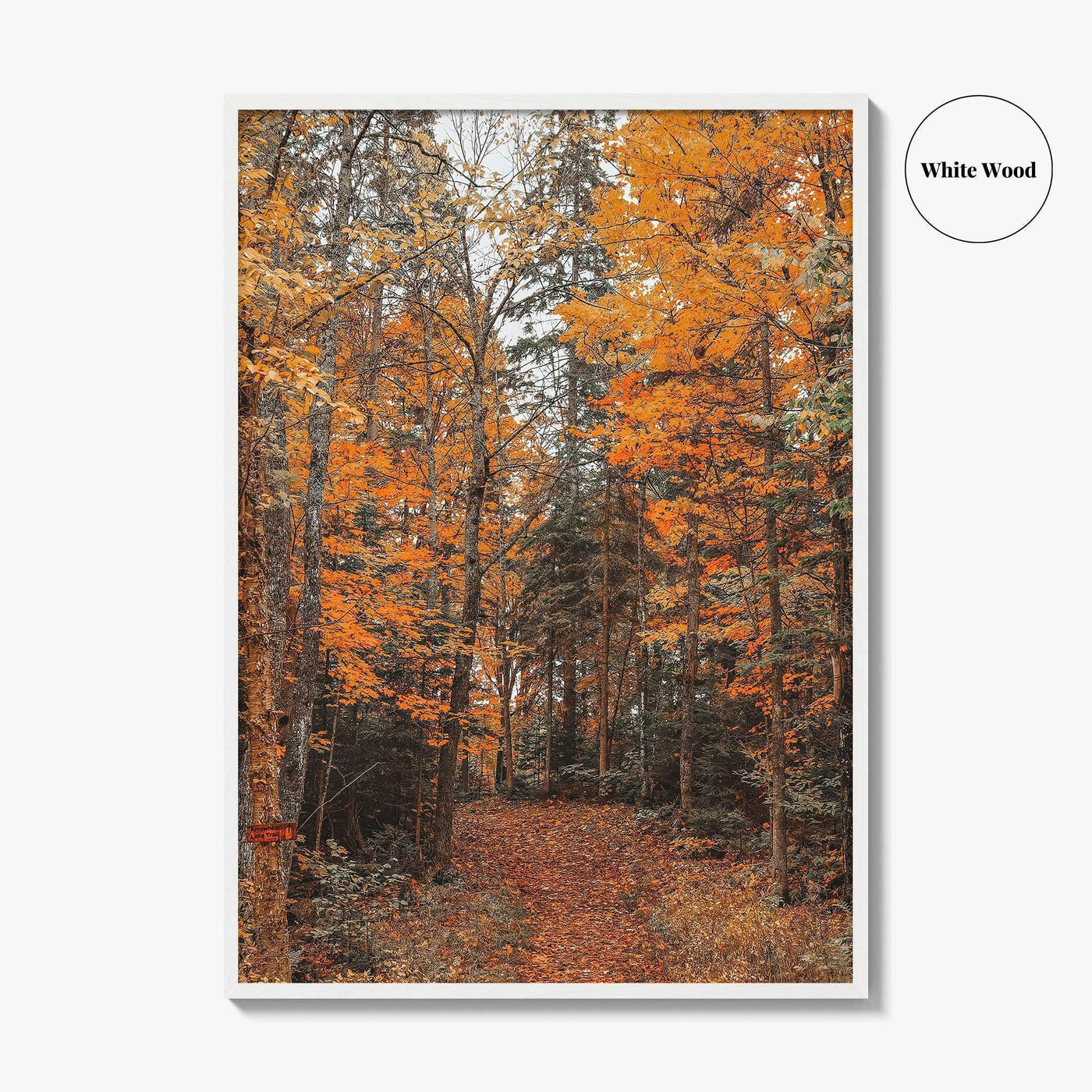 Arrowhead Provincial Park Fine Art Photo Print, Huntsville Ontario Canada, Algonquin Highlands, Wall Poster