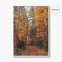 Arrowhead Provincial Park Fine Art Photo Print, Huntsville Ontario Canada, Algonquin Highlands, Wall Poster