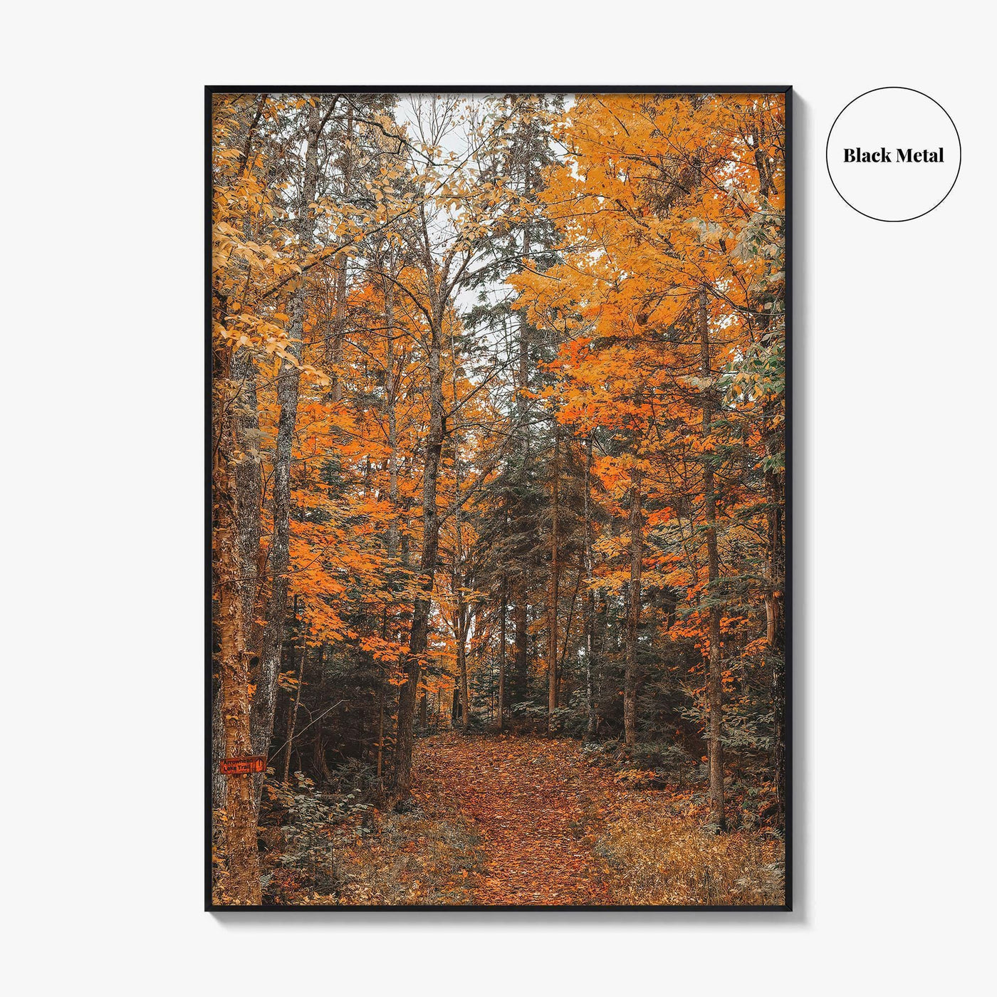 Arrowhead Provincial Park Fine Art Photo Print, Huntsville Ontario Canada, Algonquin Highlands, Wall Poster