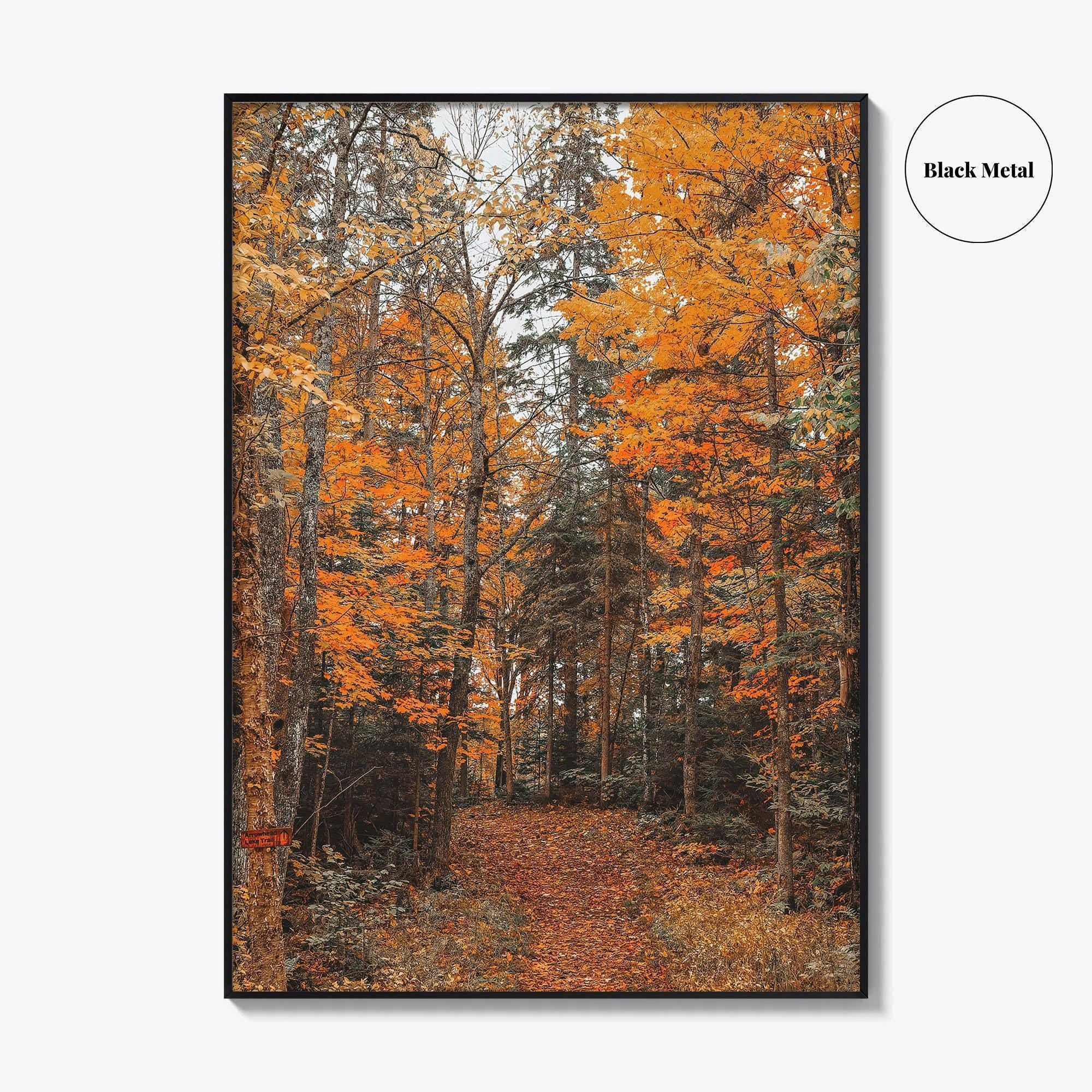 Arrowhead Provincial Park Fine Art Photo Print, Huntsville Ontario Canada, Algonquin Highlands, Wall Poster