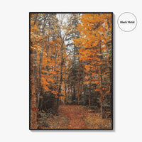 Arrowhead Provincial Park Fine Art Photo Print, Huntsville Ontario Canada, Algonquin Highlands, Wall Poster