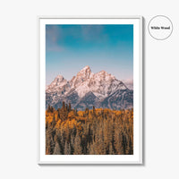 Grand Teton National Park Fine Art Photo Print, Jackson Hole Wyoming USA Poster