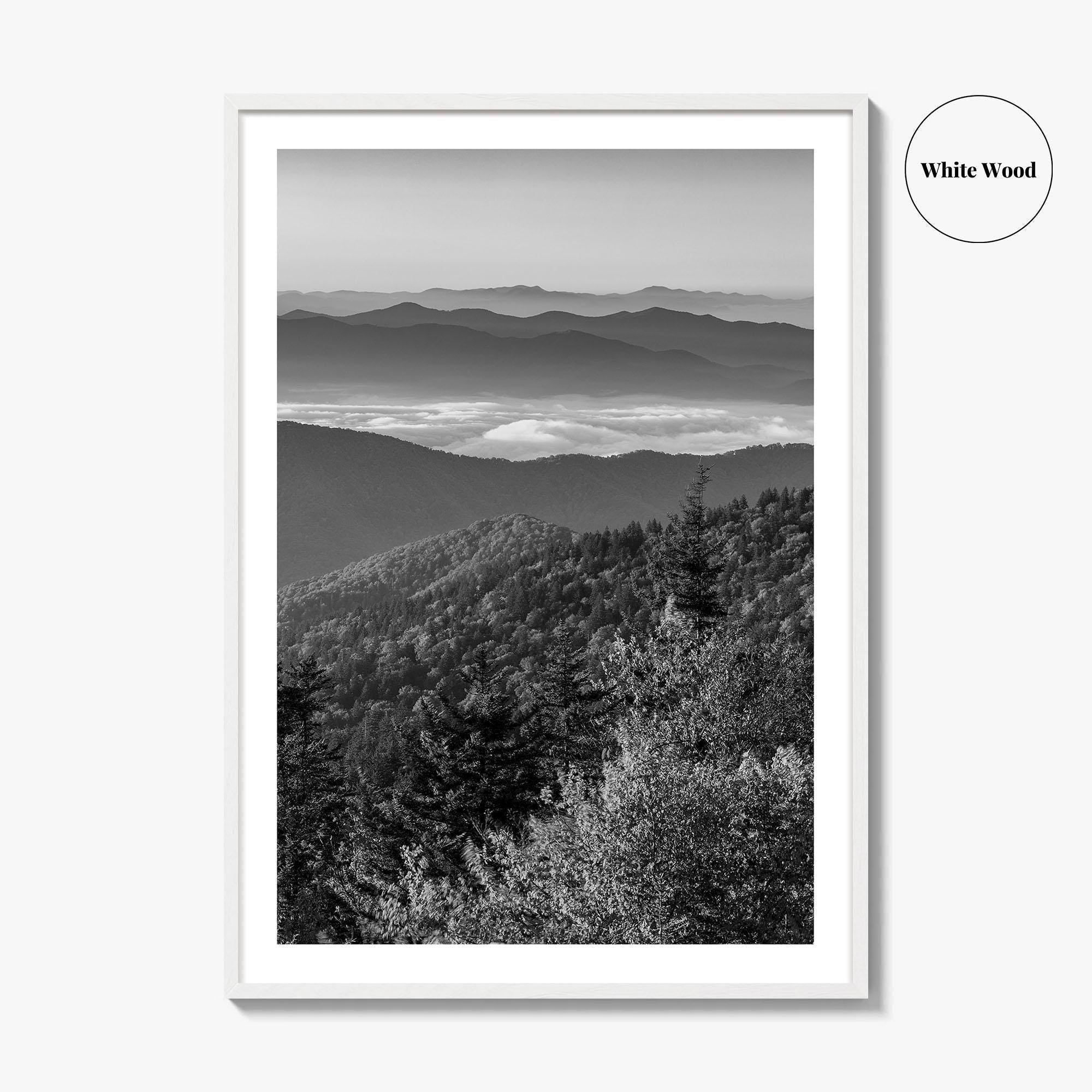 Great Smoky Mountains Black and White Fine Art Photo Print, Clingmans Dome Tennessee Poster