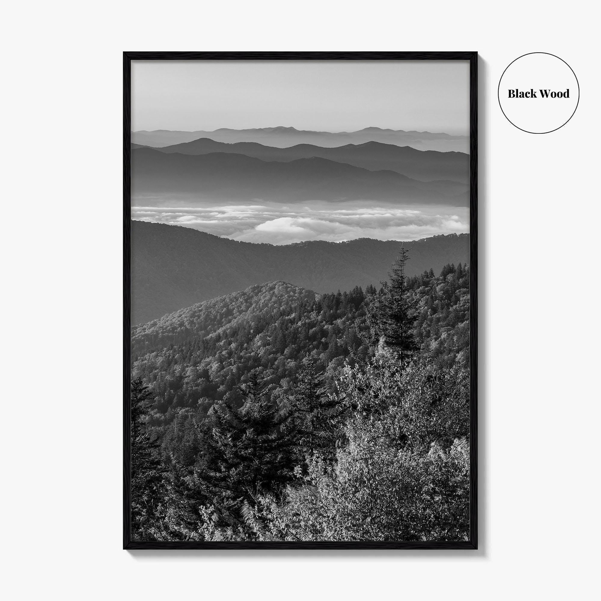 Great Smoky Mountains Black and White Fine Art Photo Print, Clingmans Dome Tennessee Poster