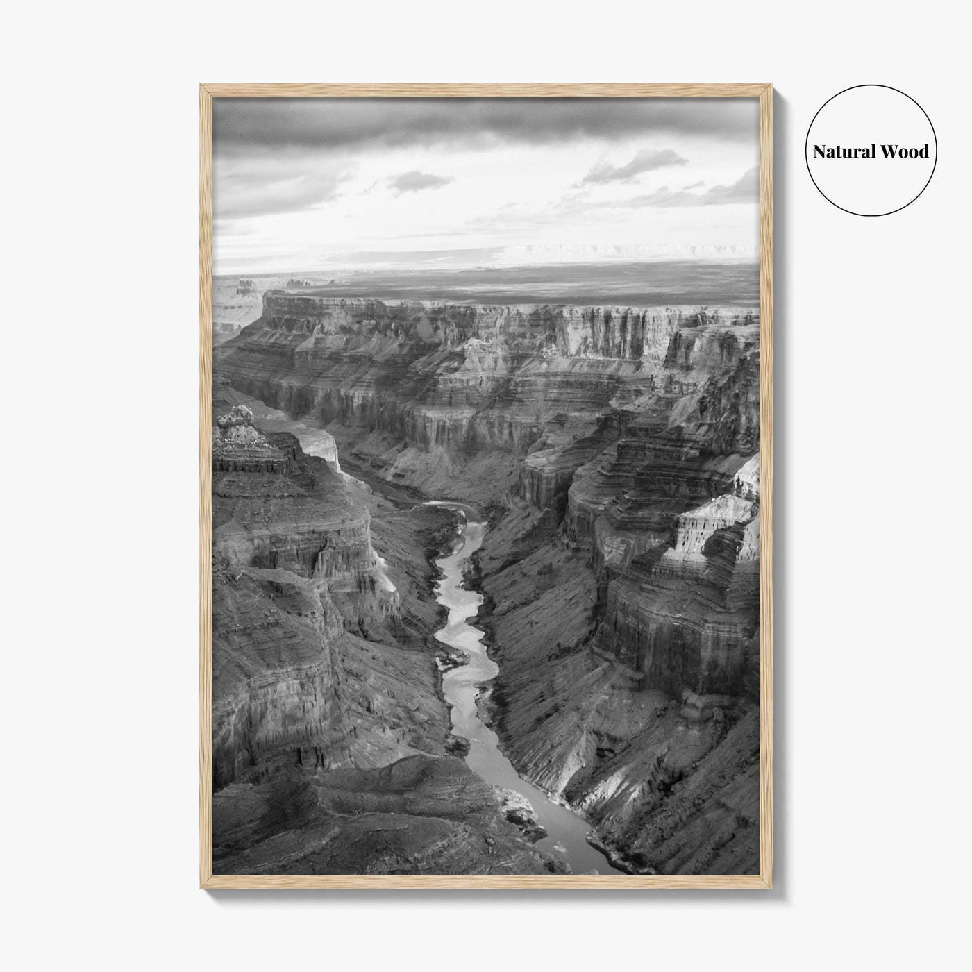Grand Canyon Black and White Fine Art Photo Print, South Rim Arizona Poster
