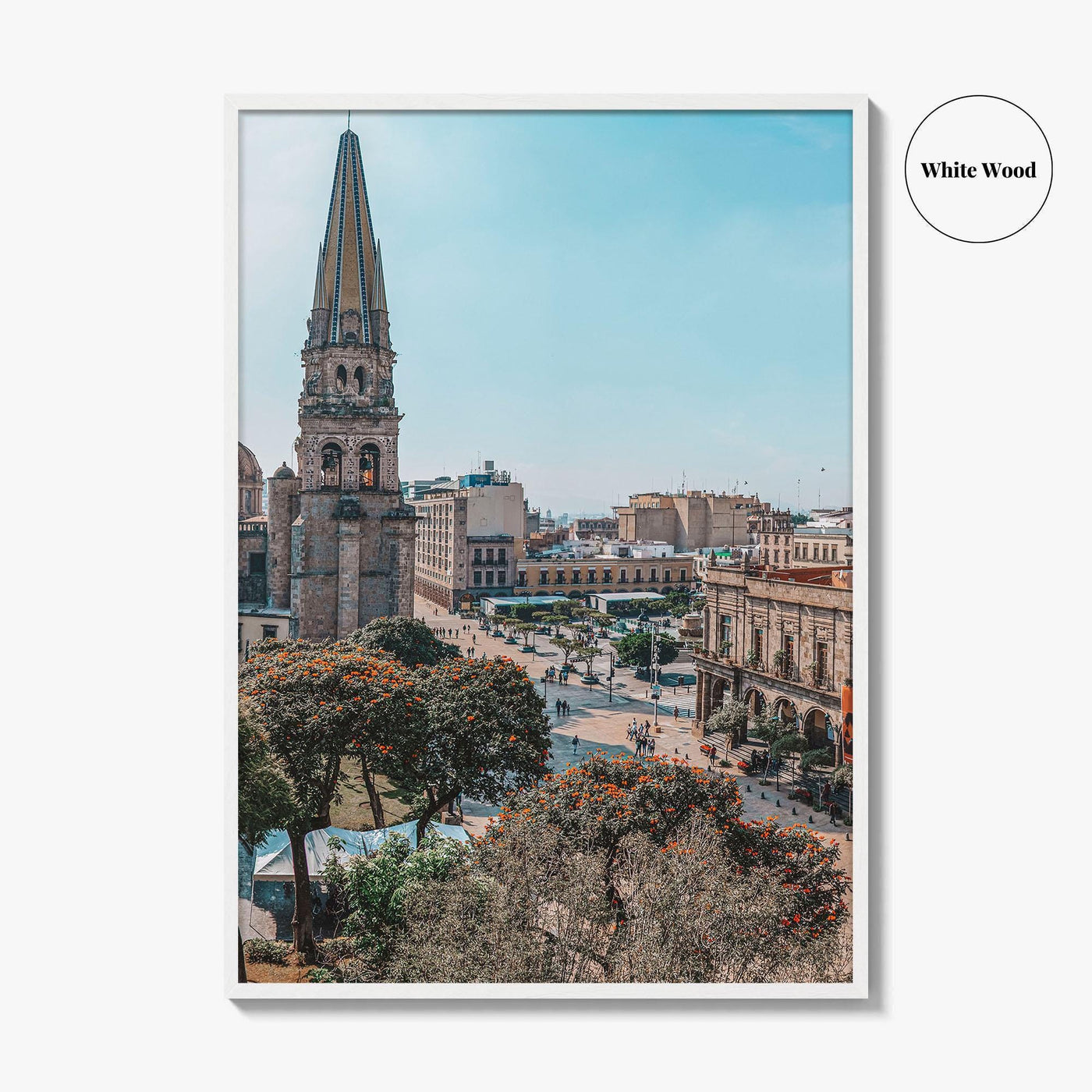 Guadalajara Fine Art Photo Print, Cathedral, Municipal Palace, Historic Center, Jalisco, Mexico, Poster
