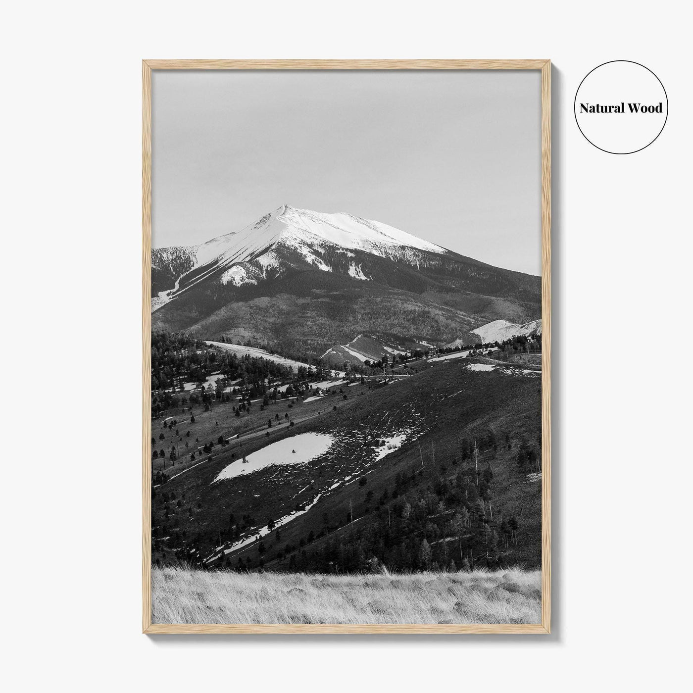 Flagstaff Black and White Fine Art Photo Print, Mount Humphreys, Arizona, USA, Poster