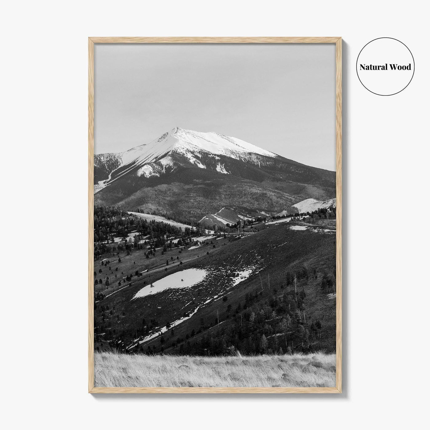 Flagstaff Black and White Fine Art Photo Print, Mount Humphreys, Arizona, USA, Poster