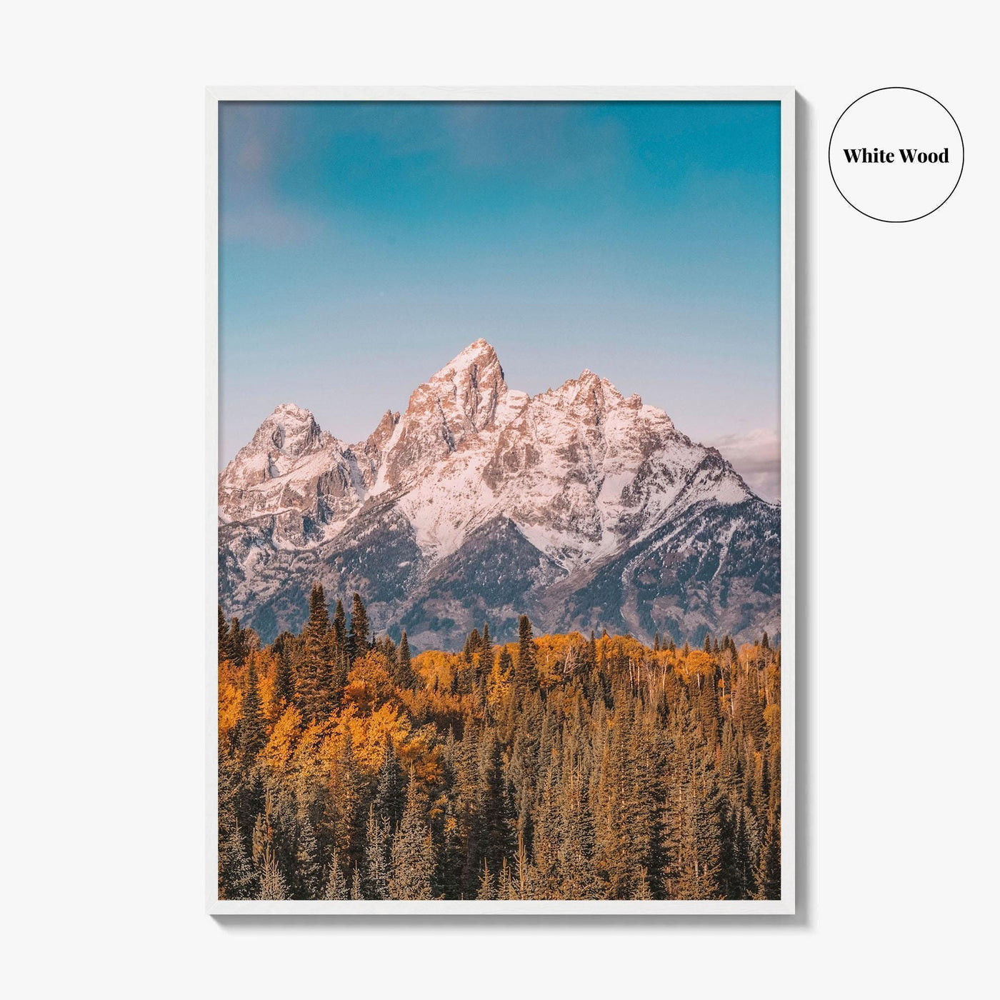 Grand Teton National Park Fine Art Photo Print, Jackson Hole Wyoming USA Poster