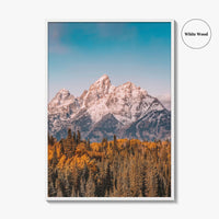 Grand Teton National Park Fine Art Photo Print, Jackson Hole Wyoming USA Poster