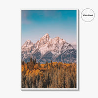 Grand Teton National Park Fine Art Photo Print, Jackson Hole Wyoming USA Poster