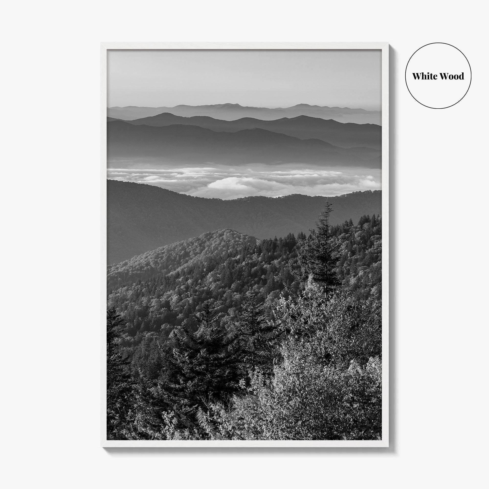 Great Smoky Mountains Black and White Fine Art Photo Print, Clingmans Dome Tennessee Poster