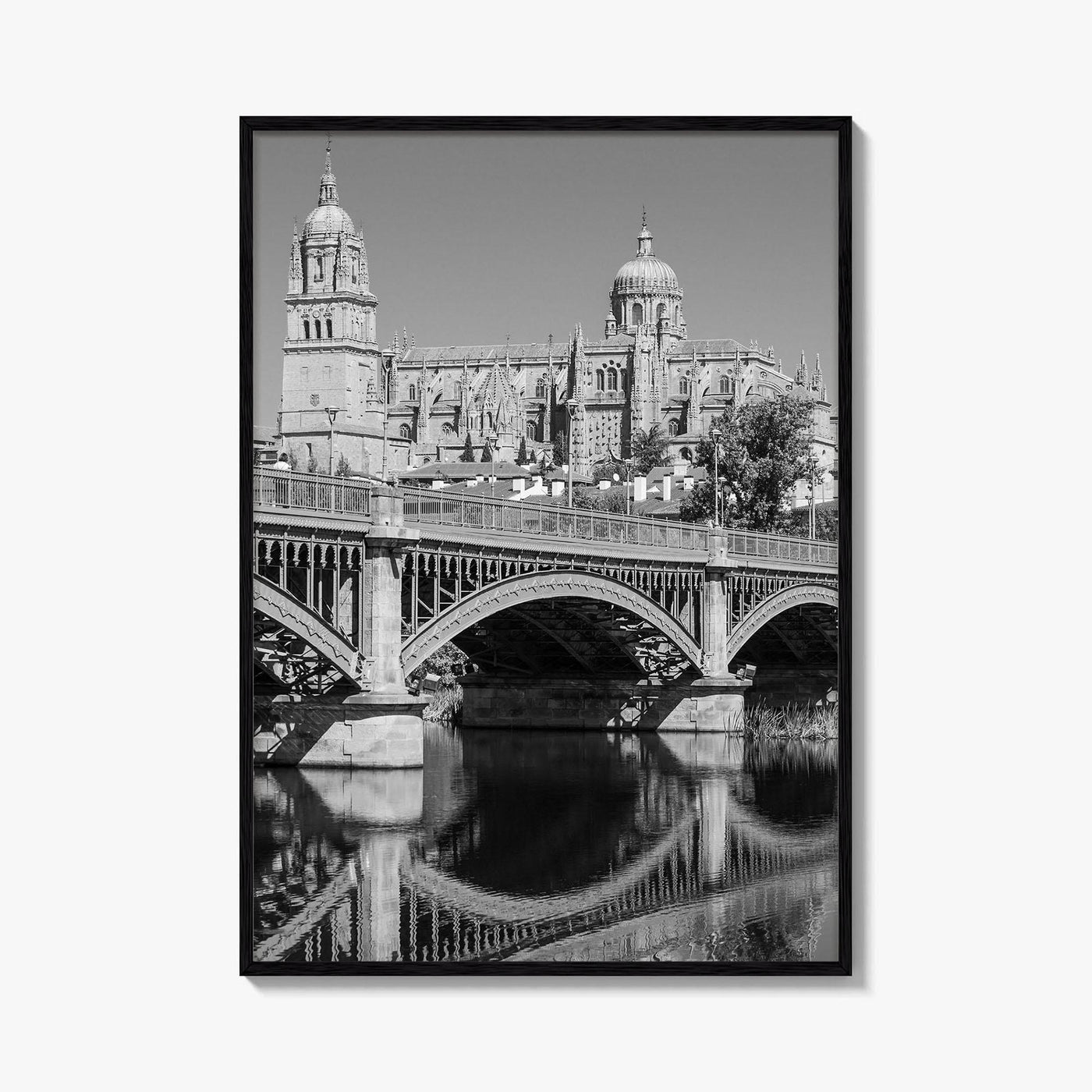 Salamanca Black and White Fine Art Photo Print, Cathedral, Castile Leon Spain Poster