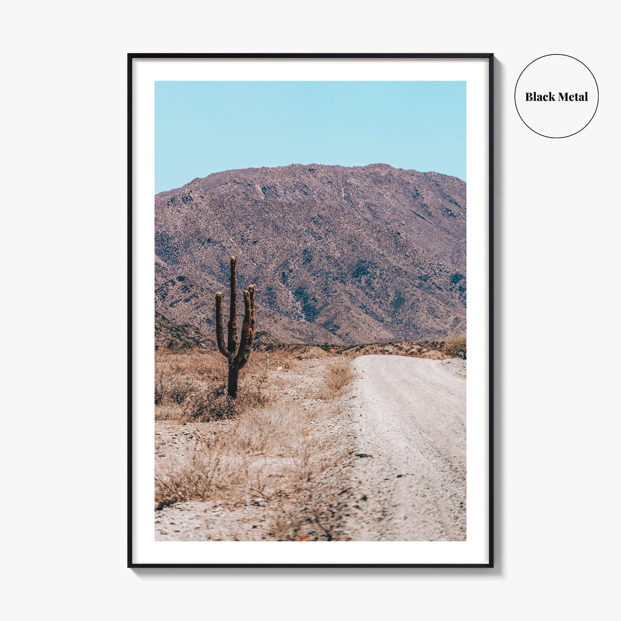 Saguaro National Park Fine Art Photo Print, Tucson Arizona USA Wall Decor Poster