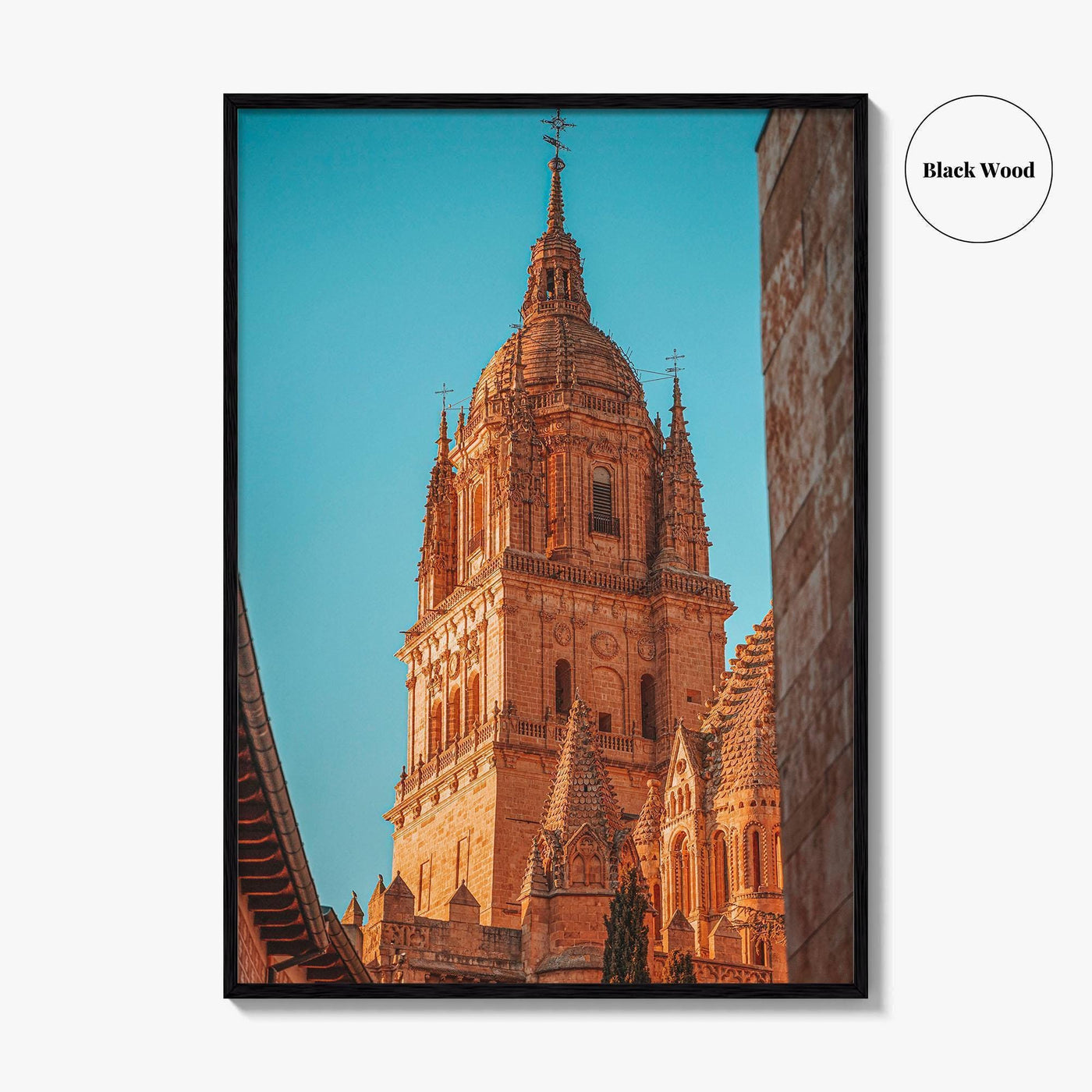 Salamanca Fine Art Photo Print, Cathedral, Spain Wall Decor Poster, Castile and Leon
