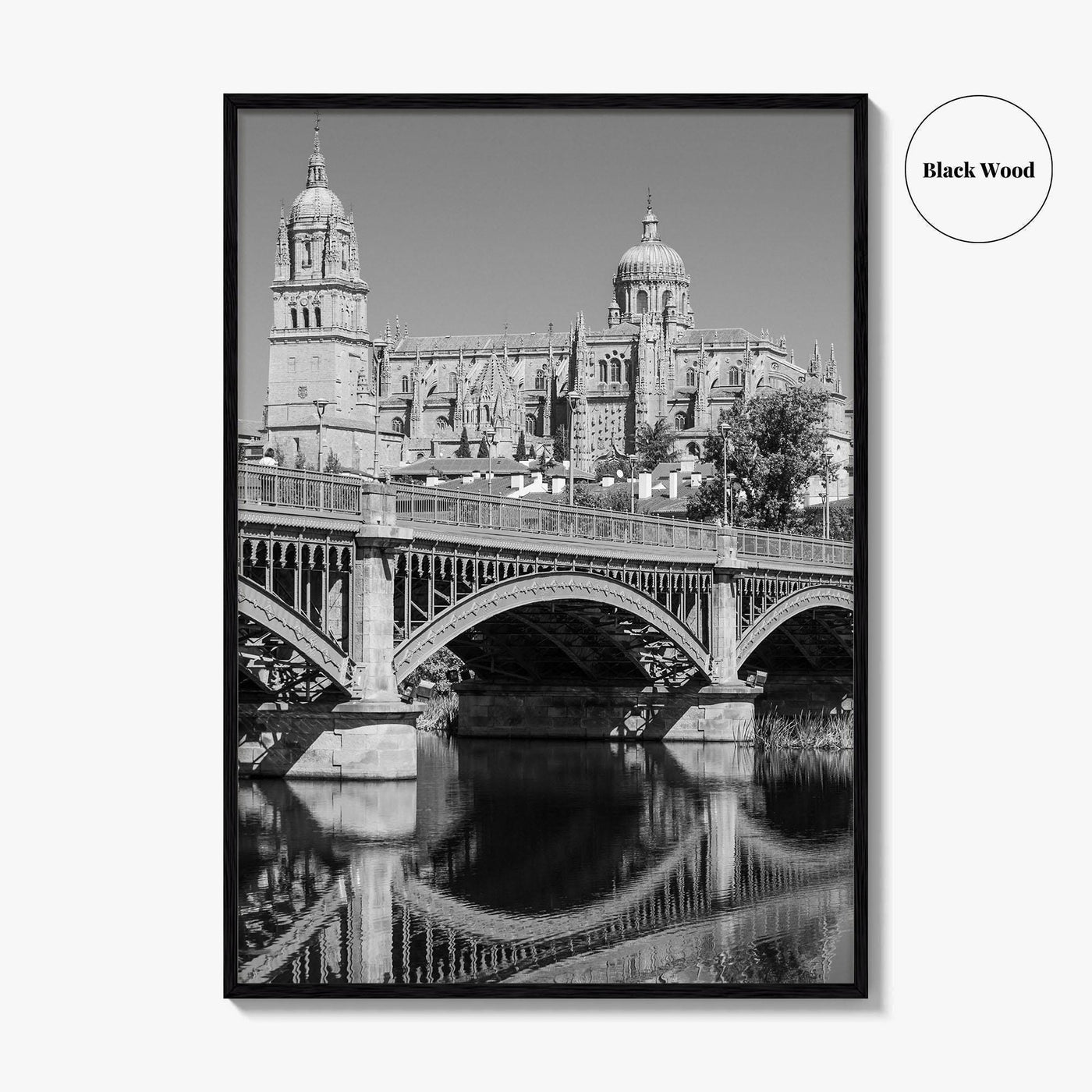 Salamanca Black and White Fine Art Photo Print, Cathedral, Castile Leon Spain Poster