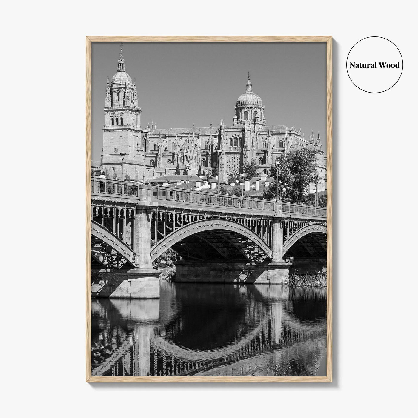 Salamanca Black and White Fine Art Photo Print, Cathedral, Castile Leon Spain Poster
