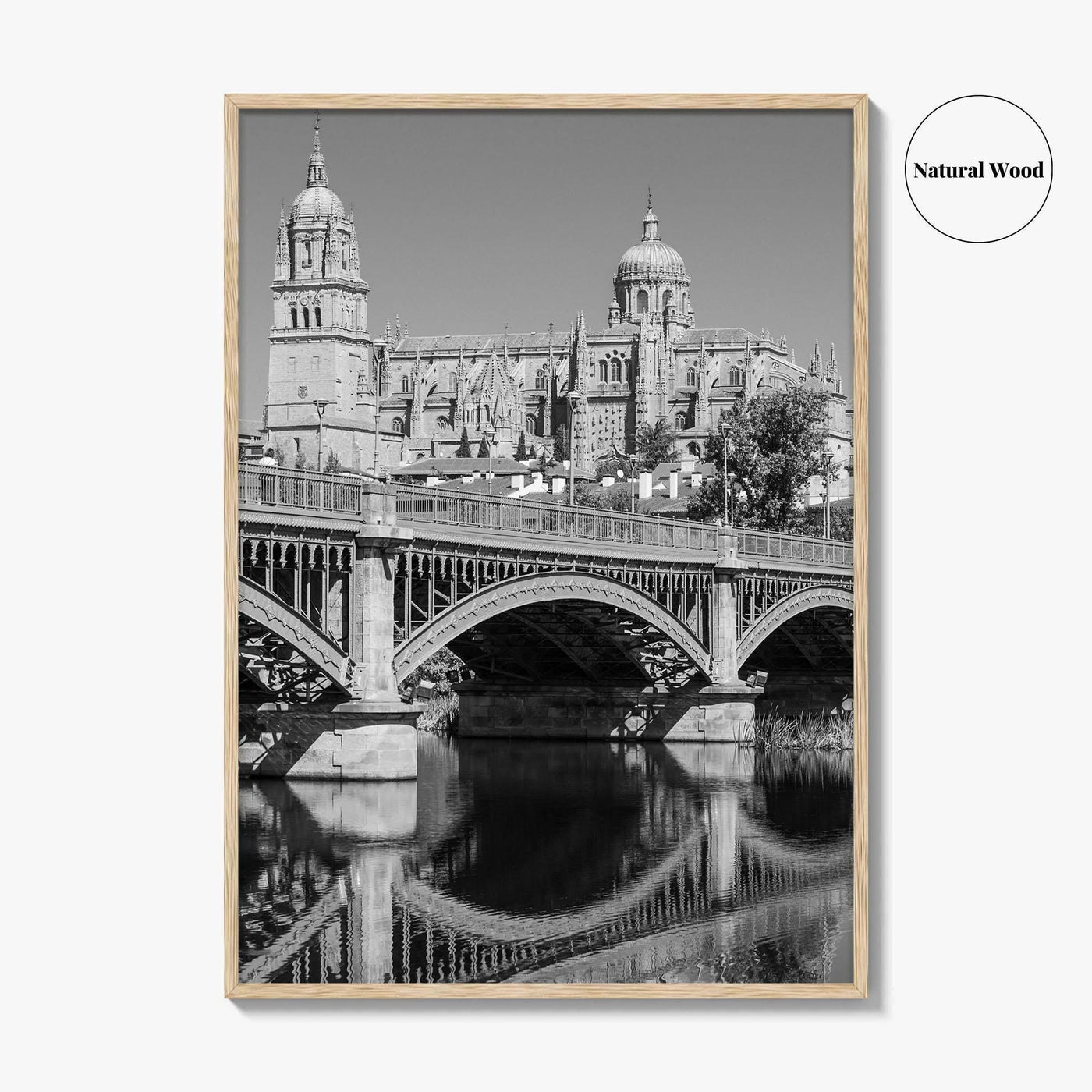 Salamanca Black and White Fine Art Photo Print, Cathedral, Castile Leon Spain Poster