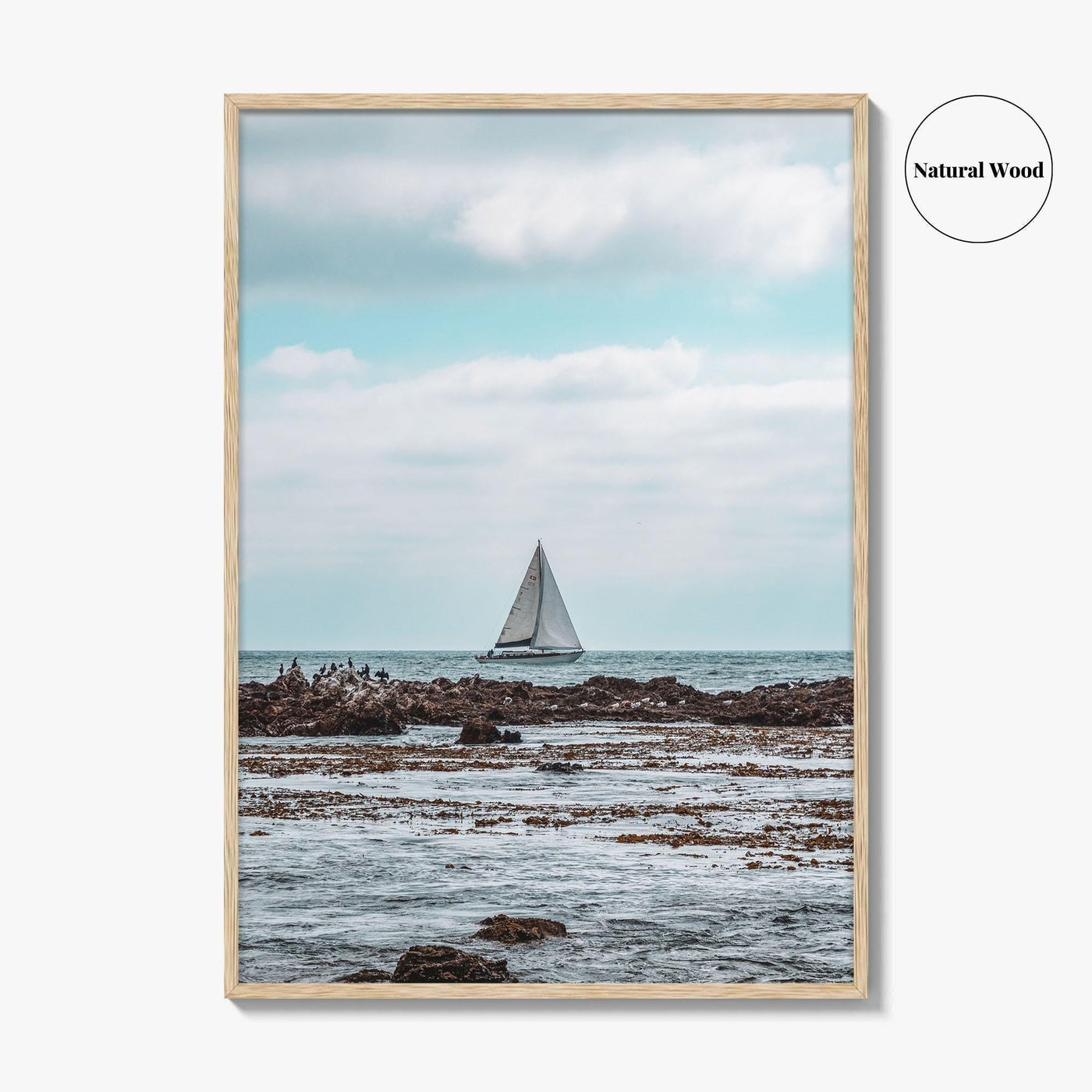 Rancho Palos Verdes Fine Art Photo Print, California Coast, Sailboat, Wall Art, USA