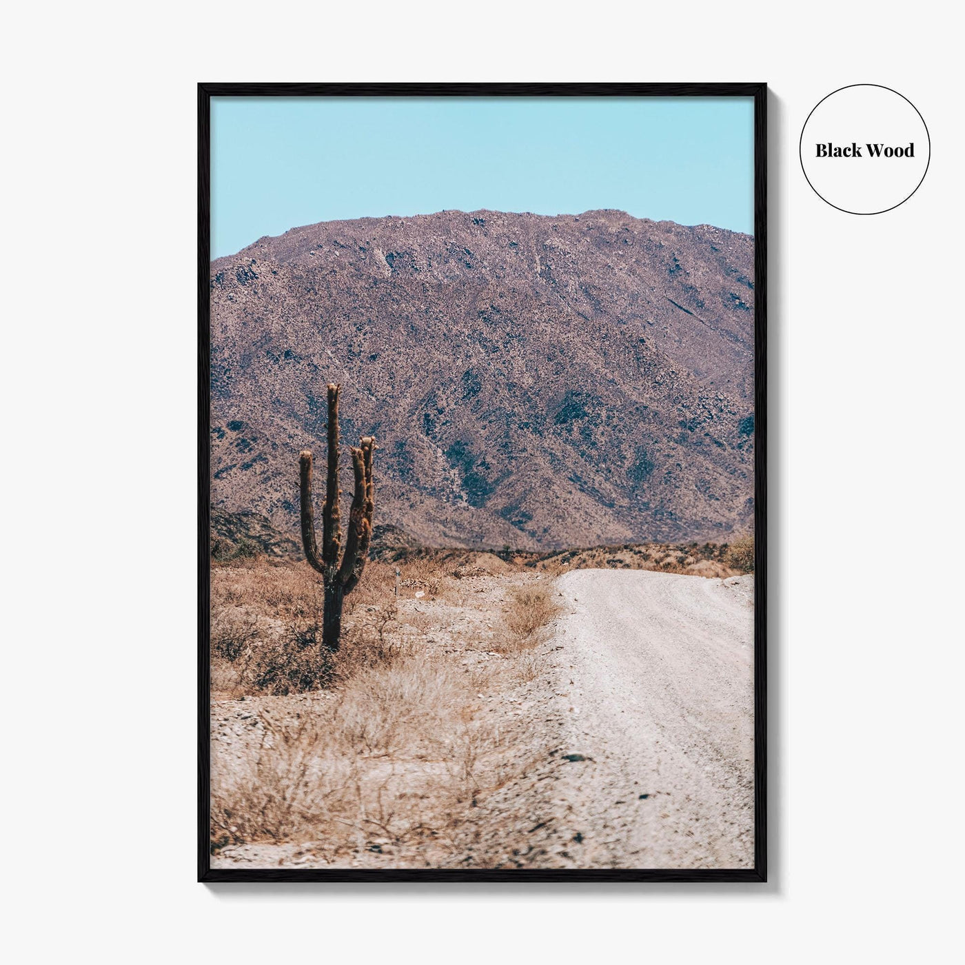 Saguaro National Park Fine Art Photo Print, Tucson Arizona USA Wall Decor Poster