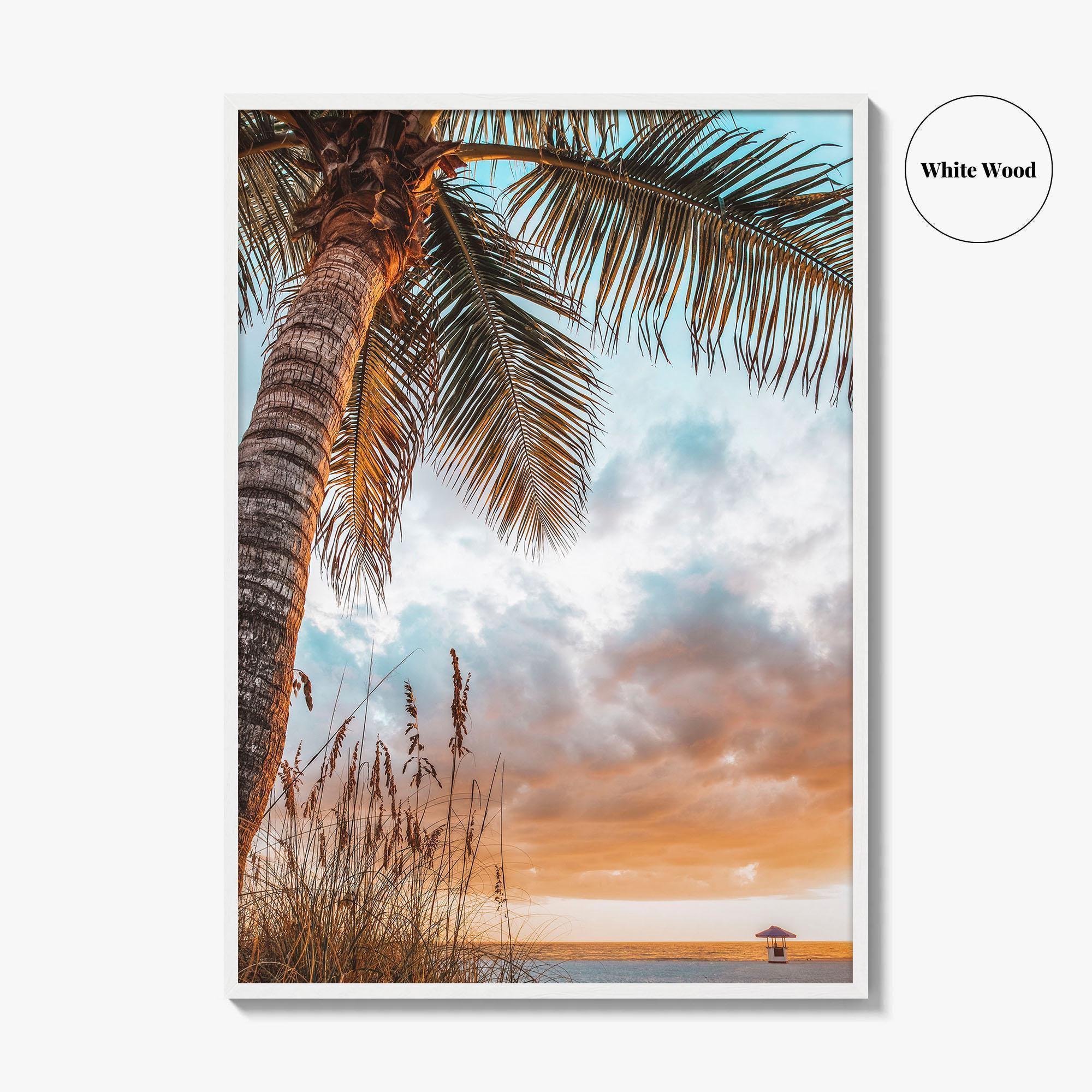 Tampa Bay Fine Art Photo Print, Florida, USA, Nature Wall Decor Poster