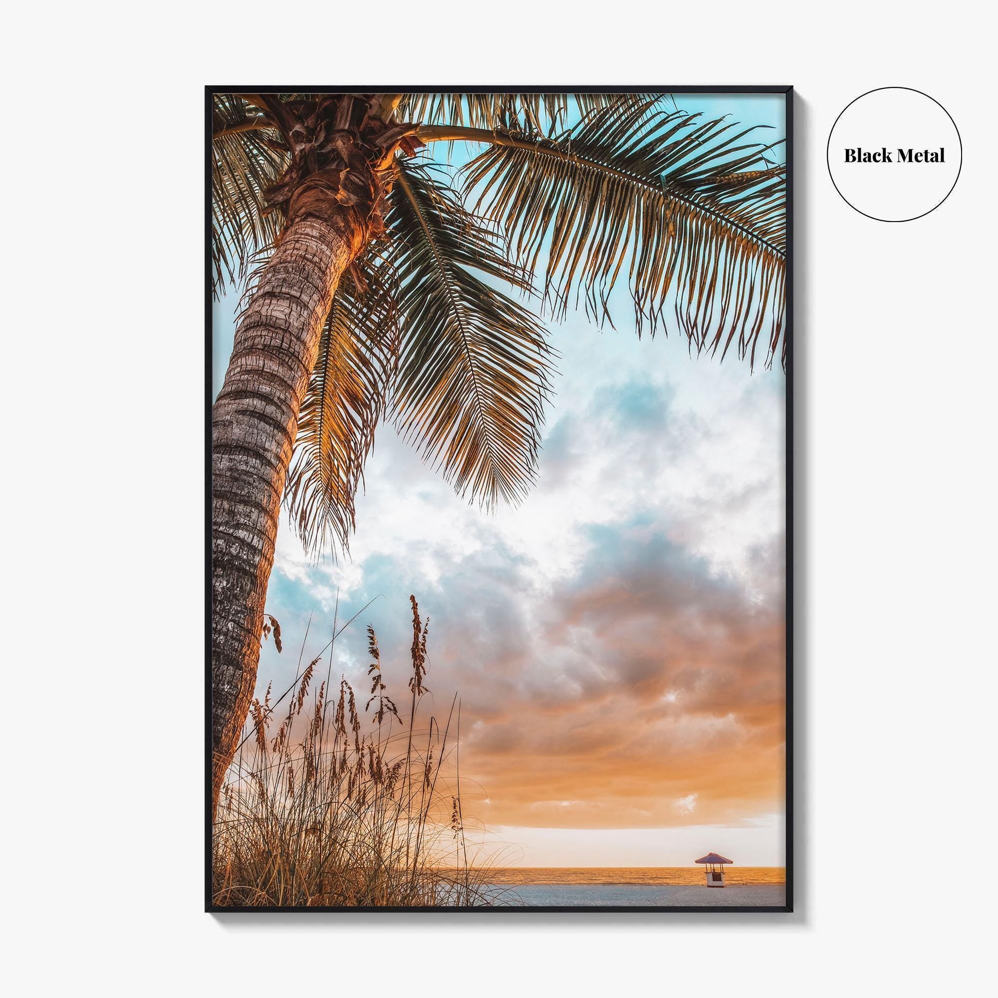 Tampa Bay Fine Art Photo Print, Florida, USA, Nature Wall Decor Poster