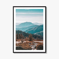 Sequoia National Park Fine Art Photo Print, Redwood Trees, California Poster, USA