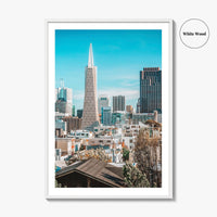 San Francisco Skyline Fine Art Photo Print, Telegraph Hill, Pioneer Park, California Poster