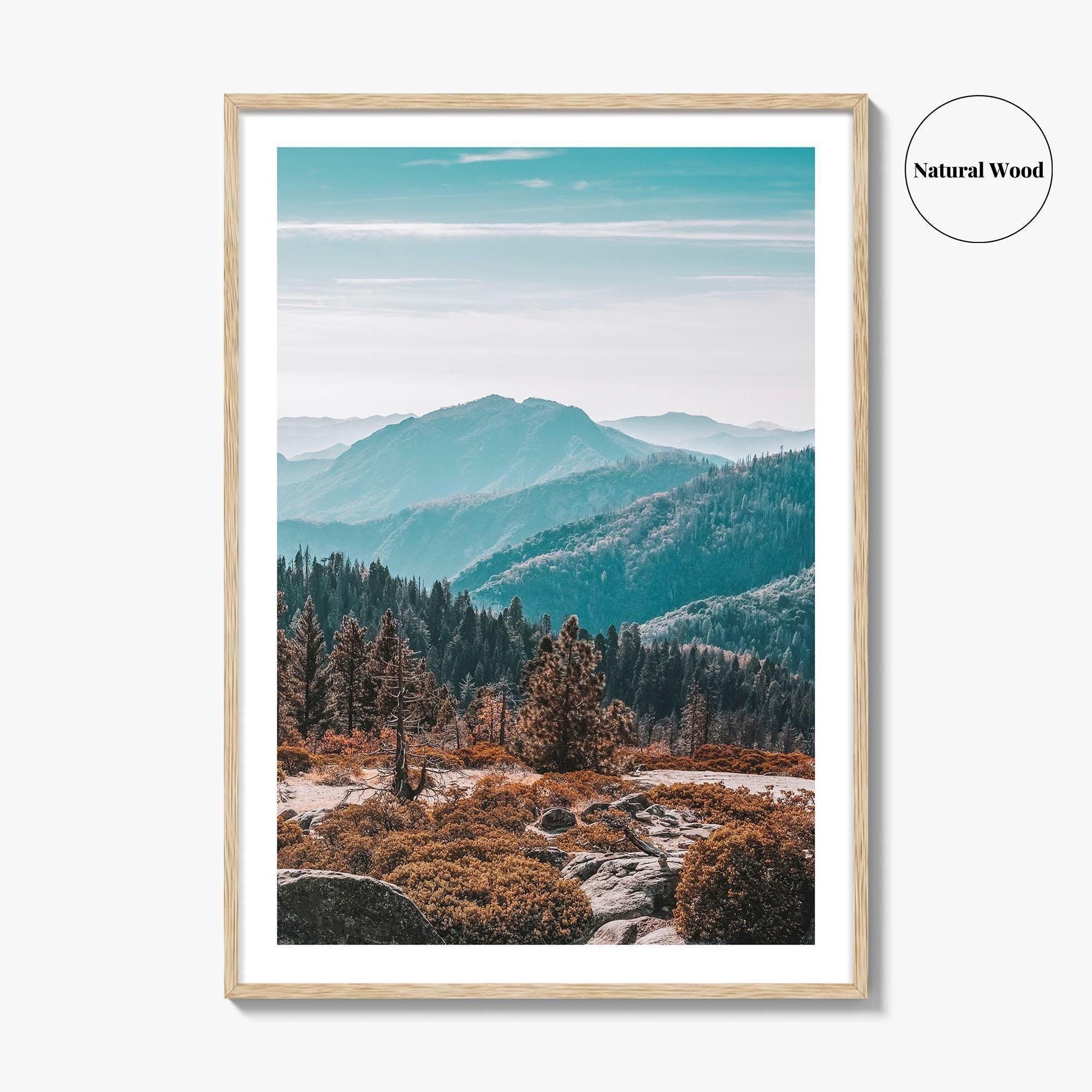 Sequoia National Park Fine Art Photo Print, Redwood Trees, California Poster, USA