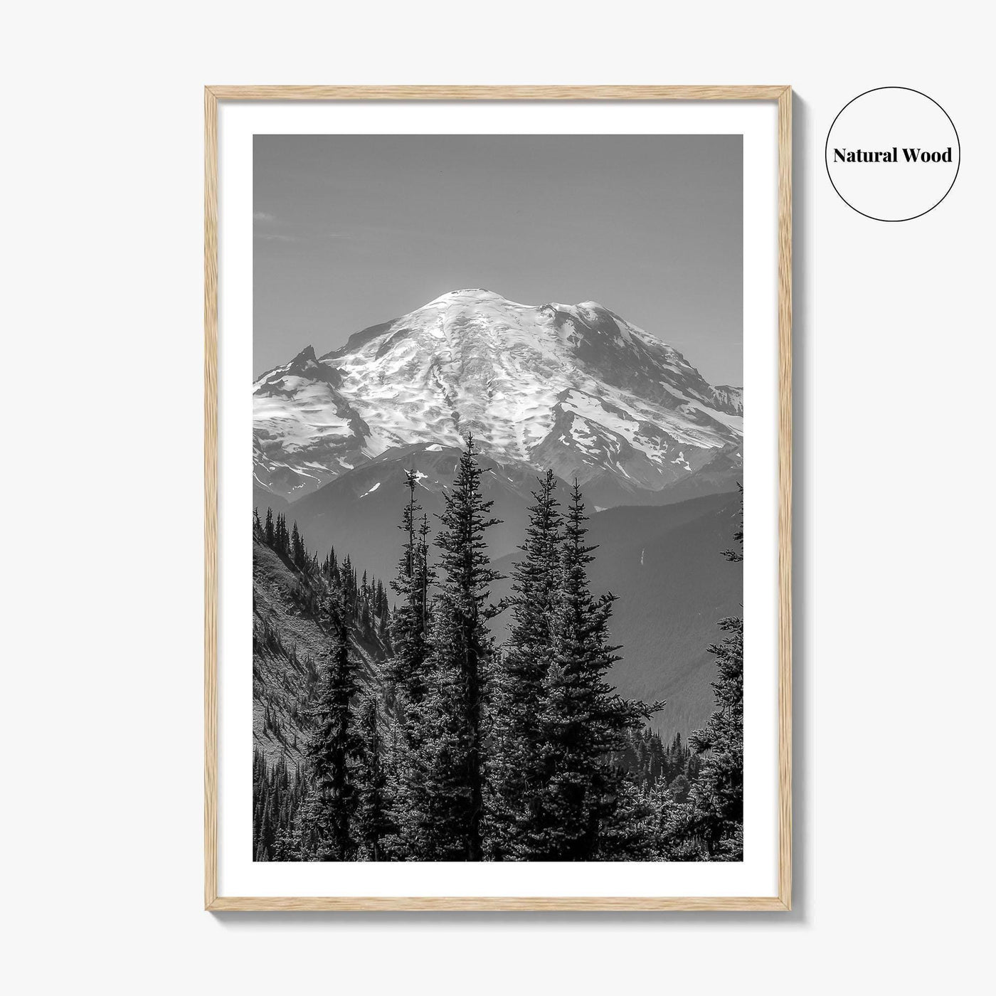 Washington State Black and White Fine Art Photo Print, Mount Rainier National Park Poster