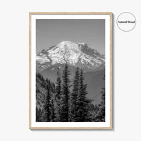 Washington State Black and White Fine Art Photo Print, Mount Rainier National Park Poster